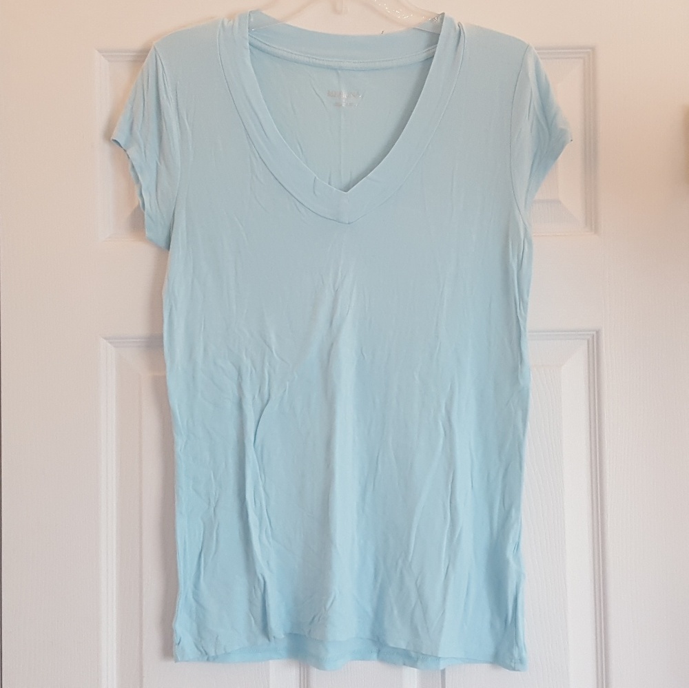 NWOT Light Blue V Neck